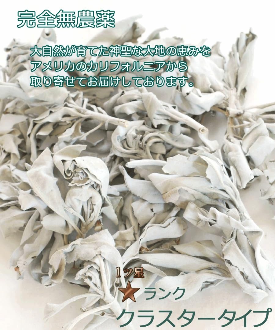 Amazon.co.jp: 完全無農薬 ホワイトセージ クラスター 100g 1ツ星 枝